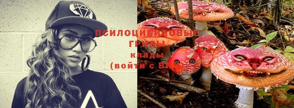 меф Пестово