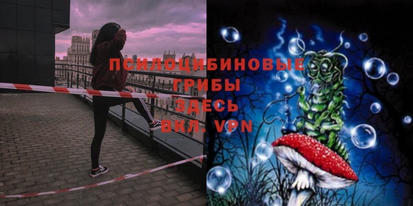 меф Пестово